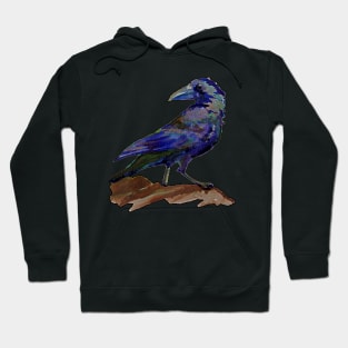 Crow Hoodie